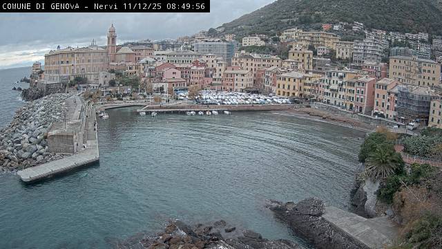 Immagine Webcam